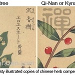 Diagrams in Chinese Compendium of Herbs