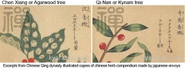 Diagrams in Chinese Compendium of Herbs