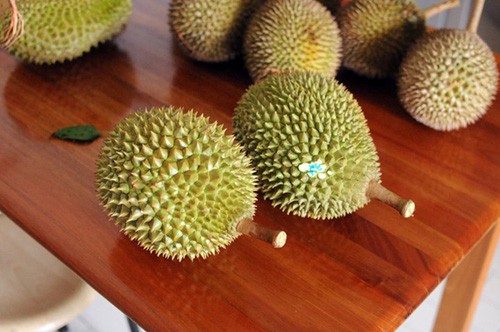 durian