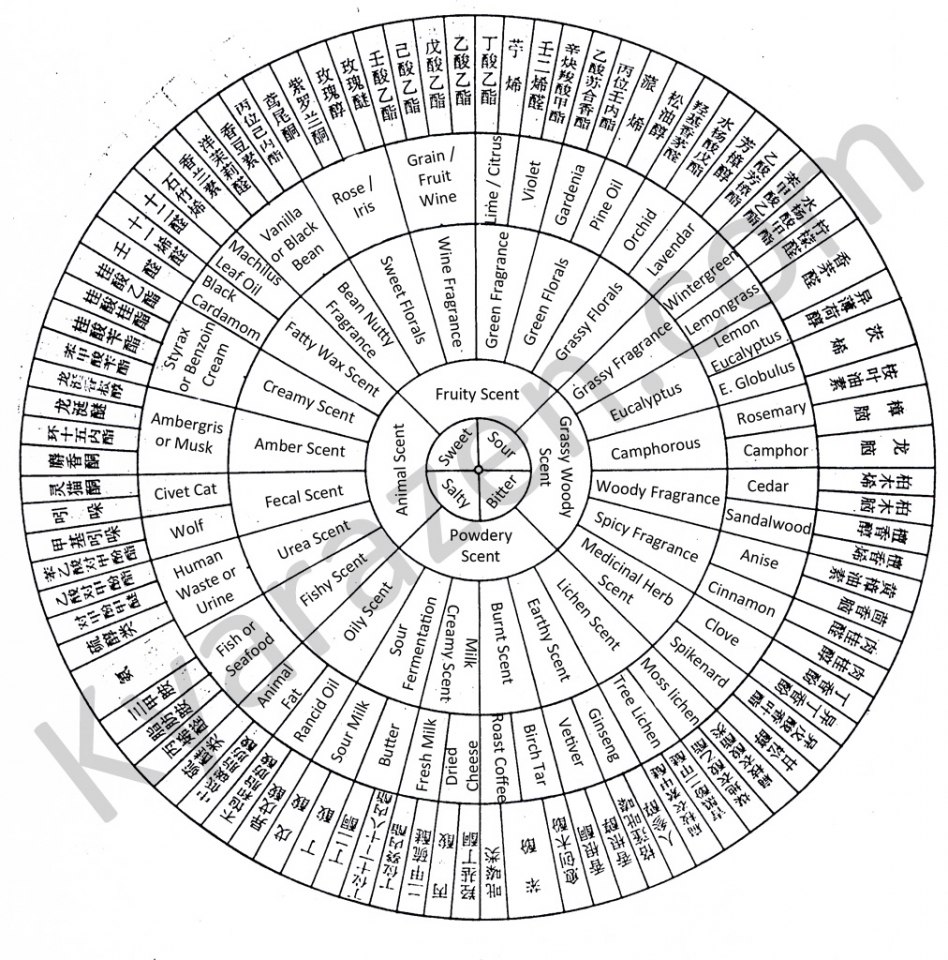 scent diagram