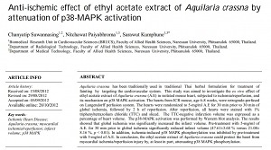 anti-ischemic1