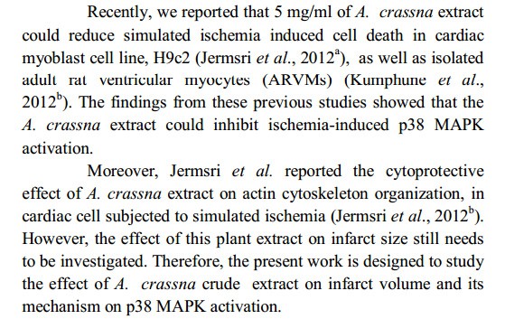 anti-ischemic2