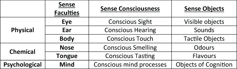 senses
