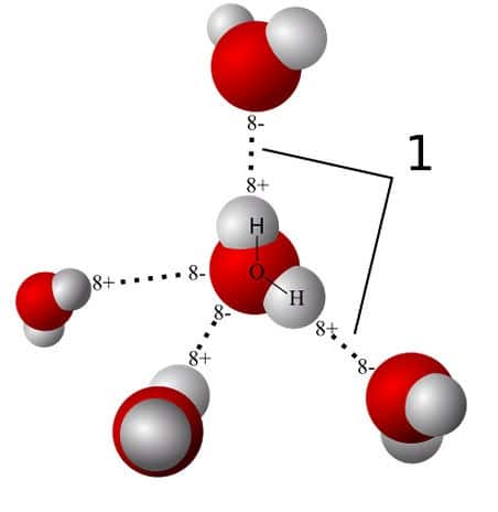 water molecule